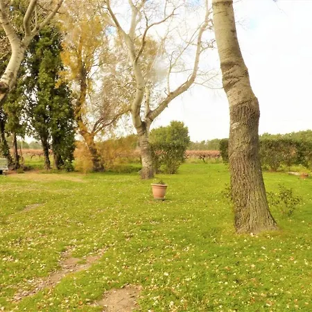 Mas Des Cypres, Clim - Jardin En Camargue Vila Arles Exterior foto