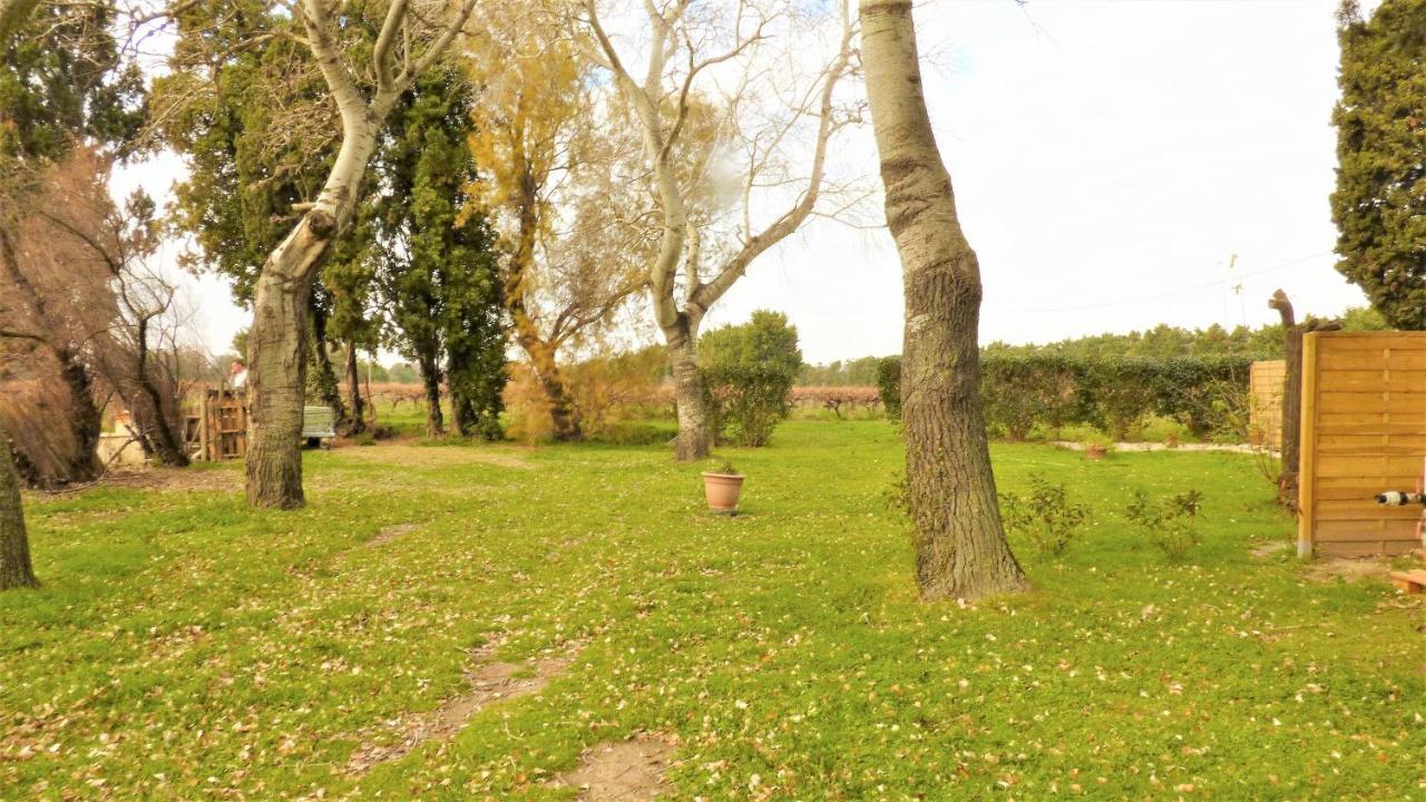 Holiday home Mas Des Cypres, Clim - Jardin En Camargue *